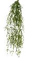 Feuillage artificiel chute de Rhipsalis - décoration d'intérieur - H.50cm vert