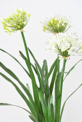 Fleur artificielle Agapanthe en motte - plante d'intérieur - H.90 cm blanc