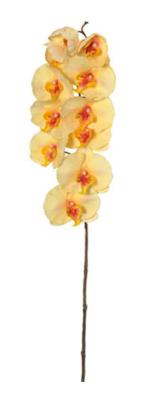 Fleur artificielle Orchidée phalaenopsis - fleur à tige - H.103 cm jaune