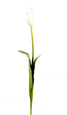 Fleur artificielle coupée Tulipe - décoration d'intérieur - H.79cm blanc