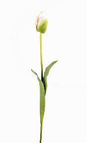 Fleur artificielle coupée Tulipe - décoration d'intérieur - H.79cm vert