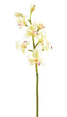 Fleur coupée Orchidée Cymbidium - création bouquet artificiel - H.100cm crème