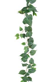 Guirlande artificielle Pothos 114 feuilles - décoration pour intérieur - H.190cm vert