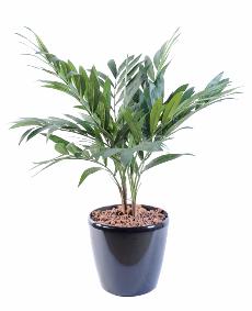 Palmier artificiel Parlour en pot - plante synthétique d'intérieur - H.65cm