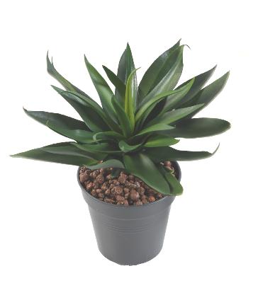 Plante artificielle Agave 36 feuilles - cactus artificiel extérieur - H.20 cm vert