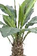 Plante artificielle Anthurium jungle king - décoration d'intérieur - H.80cm vert