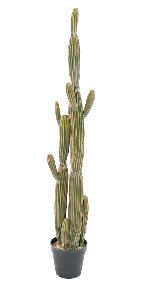 Plante artificielle Cactus Finger 6 troncs - Plante pour intérieur - H.150cm vert