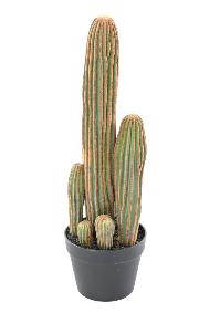 Plante artificielle Cactus Finger 7 troncs - Plante pour intérieur - H.60cm vert