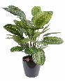 Plante artificielle Calathea Roseopicta - décoration d'intérieur - H.70cm vert