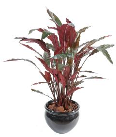 Plante artificielle Calathea - décoration d'intérieur - H.85 cm vert rouge
