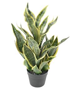 Plante artificielle Sansevieria Masoniana - décoration d'intérieur - H.66cm vert jaune
