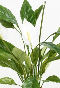 Plante artificielle Spathiphyllum 4 Fleurs - décoration d'intérieur - H.65cm