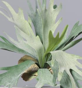 Plante artificielle fougère corne d'élan en piquet - 12 feuilles - H.33cm vert