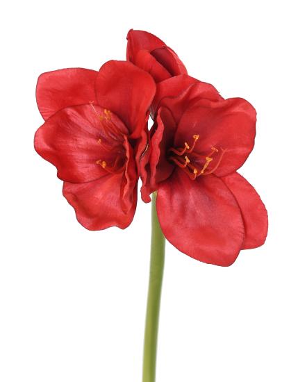 Amaryllis artificielle 2 fleurs 1 bouton - création florale - H.60cm rouge