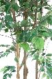 Arbre artificiel Ficus Natasja multi-troncs - plante synthétique intérieur - H.210cm