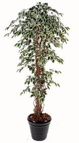 Arbre artificiel Ficus lianes grandes feuilles - plante d'intérieur - H.210cm vert/crème