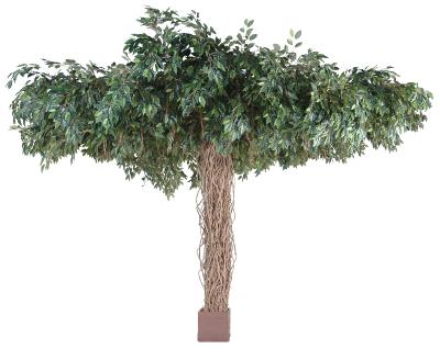 Arbre artificiel Ficus lianes Umbrella - plante synthétique intérieur - H.320cm