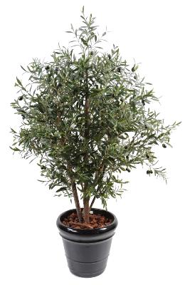 Arbre fruitier artificiel Olivier buisson et olives - plante pour intérieur - H.140cm