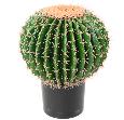 Cactus artificiel Echino - plante synthétique d'intérieur - H. 50cm vert