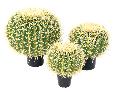 Cactus artificiel coussin de belle-mère - plante d'intérieur - H. 35cm vert jaune