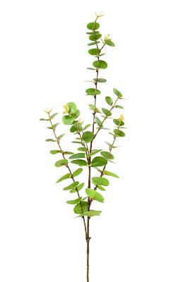 Feuillage artificiel Branche Eucalyptus - création de bouquet - H.95cm vert