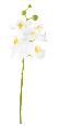Fleur artificielle Orchidée Phalaenopsis 6 fleurs - Fresh Touch - H.60cm blanc