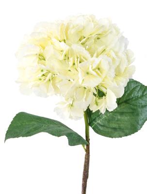 Fleur artificielle coupée Hortensia - création bouquet - H.80cm blanc