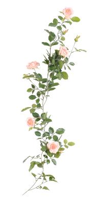 Fleurs artificielles Guirlande royale de rose - décoration d'intérieur - H.140cm rose crème
