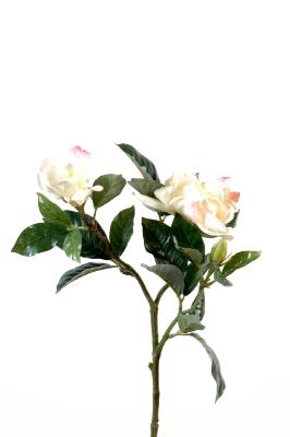 Gardenia artificielle fleur coupée - création florale intérieur - H.65cm crème rose
