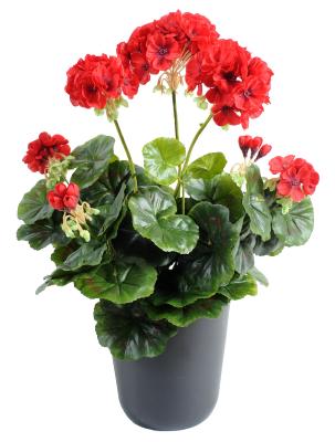 Géranium en piquet 5 têtes - Plante fleurie artificielle - H.40cm rouge