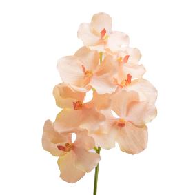 Orchidée Vanda artificielle ROTHSCHIL Diana - Real touch gamme luxe - H.60cm pêche
