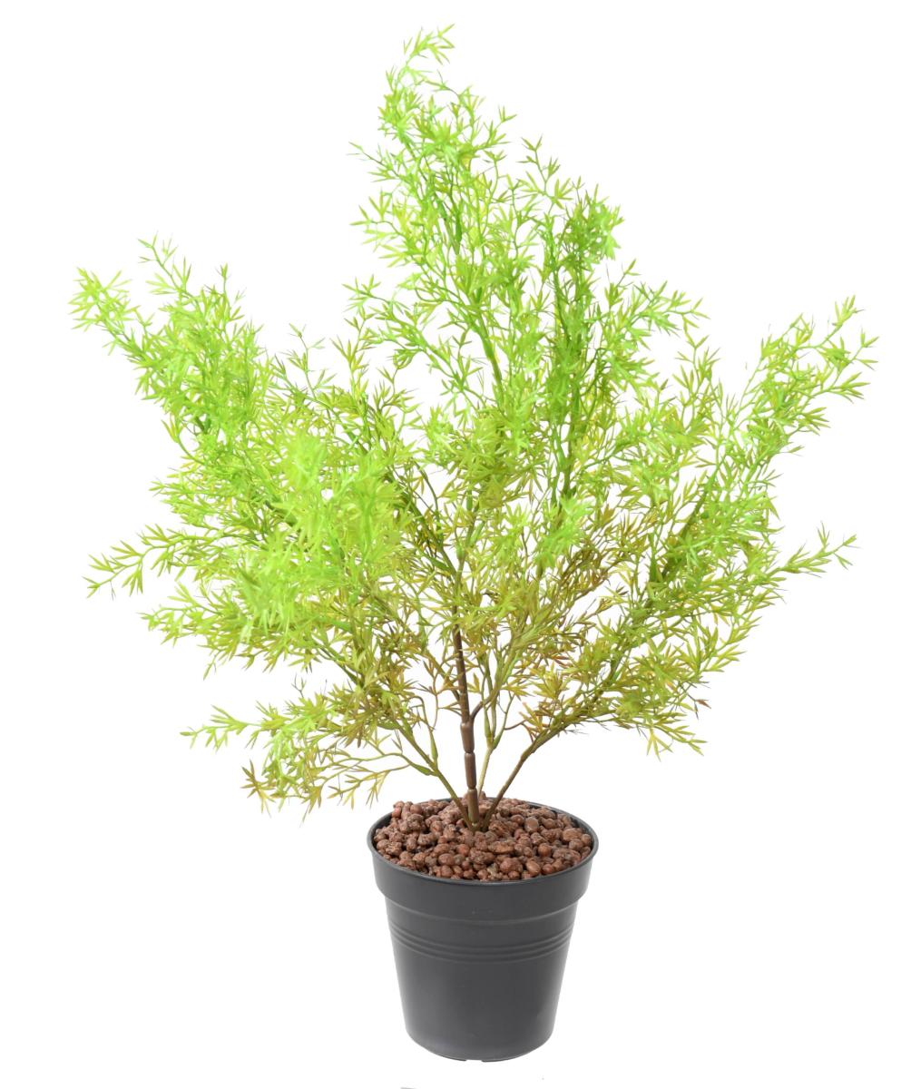 Plante artificielle Asparagus plastique - intérieur extérieur - H.62 cm vert