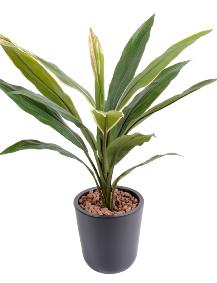 Plante artificielle Dracaena Cordyline en piquet - intérieur - H.60 cm vert jaune