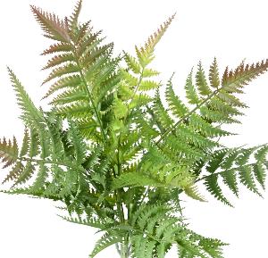 Plante artificielle Fougère plastique en piquet - décoration d'intérieur - H.45cm vert