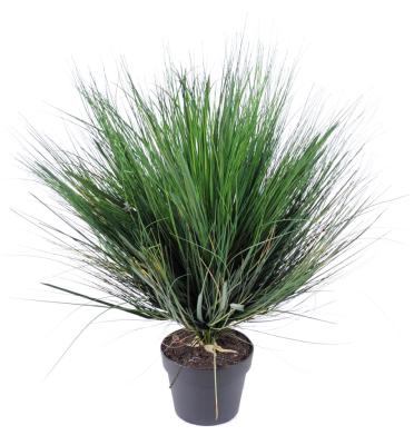 Plante artificielle Herbe Onion Grass Round en pot - intérieur - H. 75cm vert