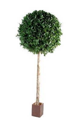 Plante artificielle Laurier boule tige - haut de gamme - H.250cm