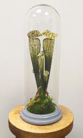 Plante artificielle carnivore sous cloche en verre - déco intérieur - H.46cm vert