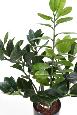 Plante artificielle verte Zamioculcas - décoration pour intérieur - H.60cm