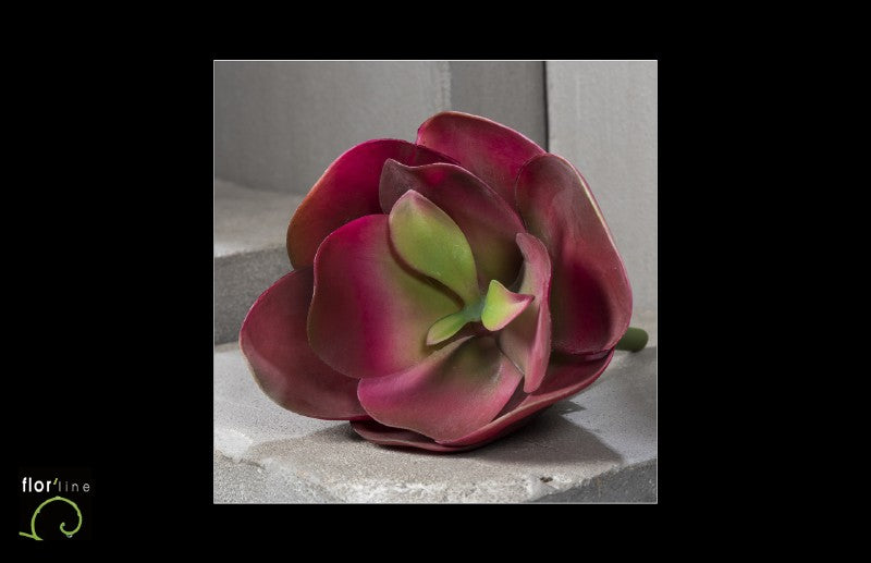 Fleur de kalanchoe artificielle  - décoration d'intérieur - H.26 cm bordeau - R4