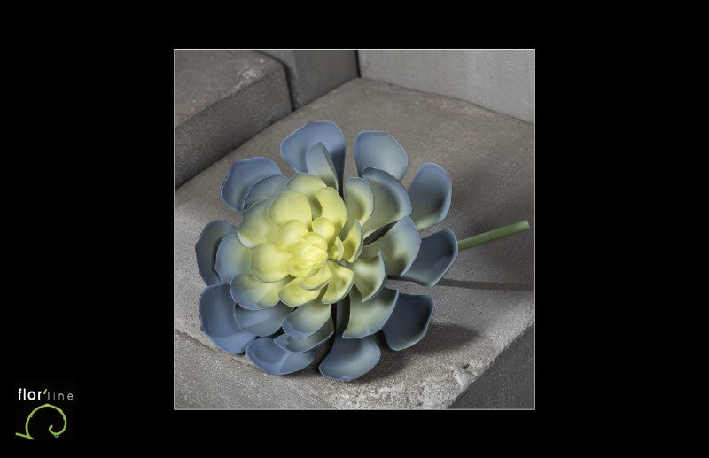 AEONIUM EN PIQUET - Décoration d'intérieure - GRIS PERLE ET JAUNE - h.24cm - S4