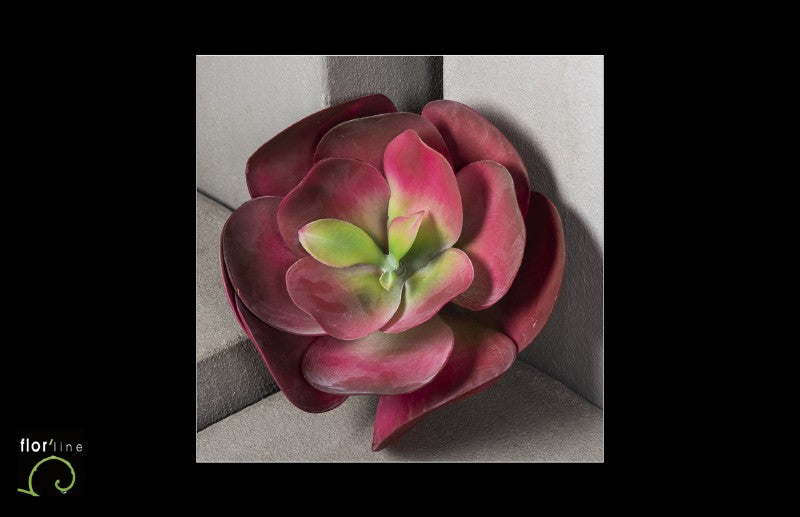Fleur de kalanchoe artificielle  - décoration d'intérieur - H.33 cm bordeau - P1