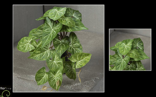 Chute artificielle de syngonium - décoration intérieure - H.18 cm - panaché - R1