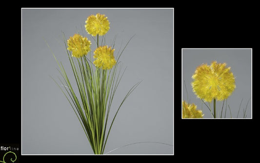 Bouquet d'allium en piquet - vert brun 3 tiges - décoration d'intérieur - H.80cm -  S2