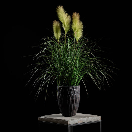 Herbe de la pampa en pot 5 plumeaux crème - décoration d'intérieur - H.110cm -  Z4