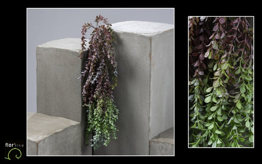 Plante artificielle chute de buxus - intérieur - H.85 cm panaché Q4