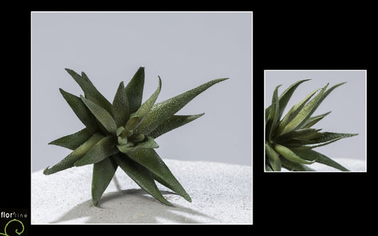 Plante artificielle Aloe en piquet - décoration intérieure - H.18cm - vert - R4