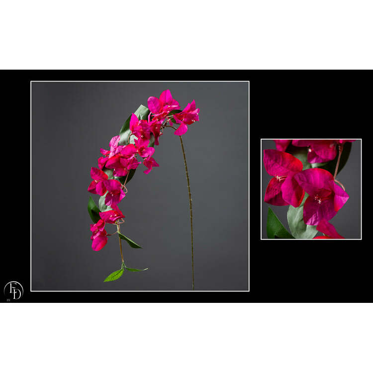 Fleur artificielle tige de bougainvillier - décoration d'intérieur - H. 78 cm fuschia - Q3