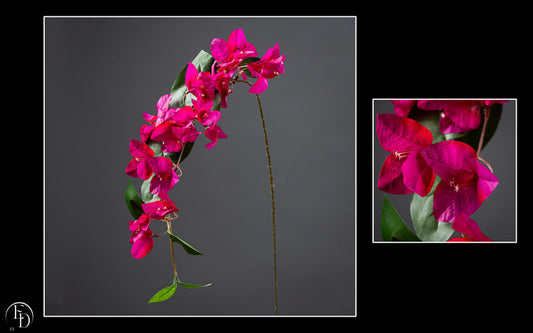 Fleur artificielle tige de bougainvillier - décoration d'intérieur - H. 78 cm fuschia - Q3