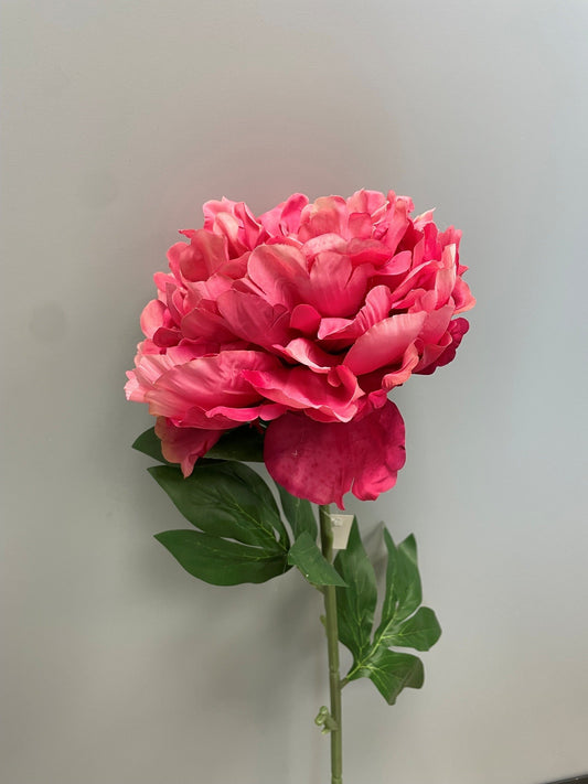 Fleur artificielle Pivoine géante - décoration d'intérieur - H. 80cm - fuchsia - R4