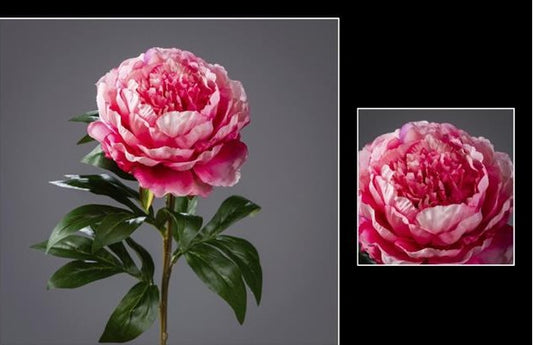 Fleur artificielle Pivoine - décoration d'intérieur - H. 68cm cerise - P4